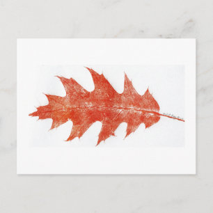 "Red Oak Leaf #2" Country Roads Postcard