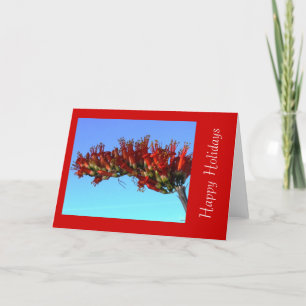 Red Ocotillo Blooms Holiday Greeting Card