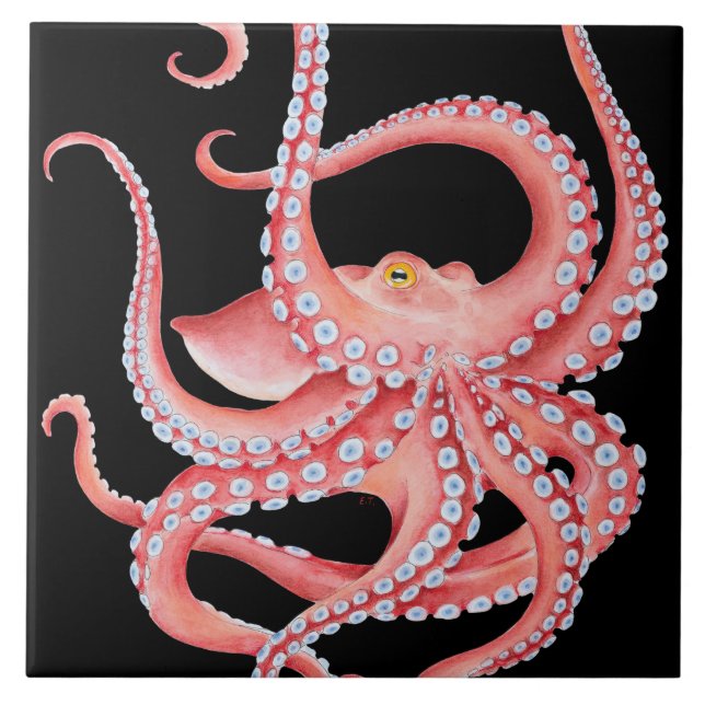 Red Octopus Watercolor On Black Tile (Front)
