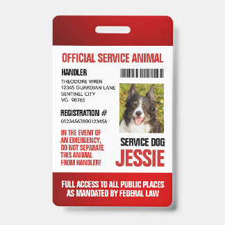 Red Official Service Animal Badge