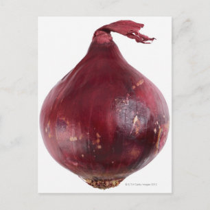 Red onion isolated on white background, DFF Postcard