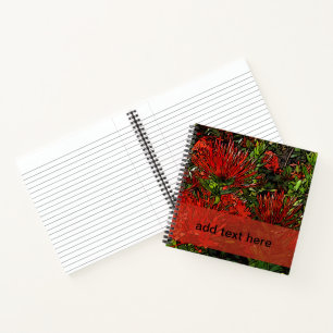 Red Orange Firebush Plant Notebook