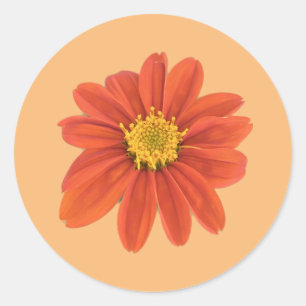 Red Orange Flower Sticker