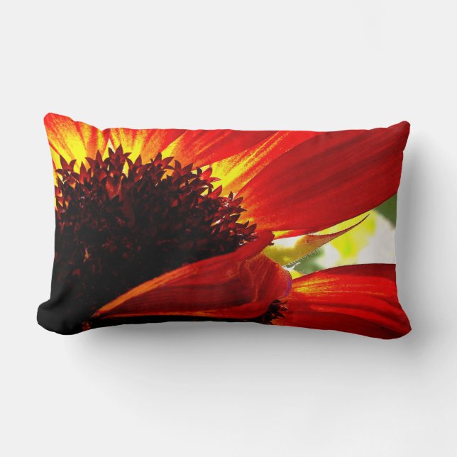 Red Orange Gerbera Daisy Photo Bold Modern Stylish Lumbar Pillow (Front)