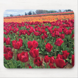 Red & Orange Tulip Field, Oregon Mouse Pad