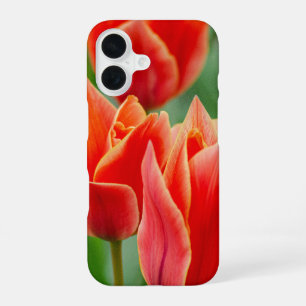 Red Orange Tulips iPhone 16 Case 