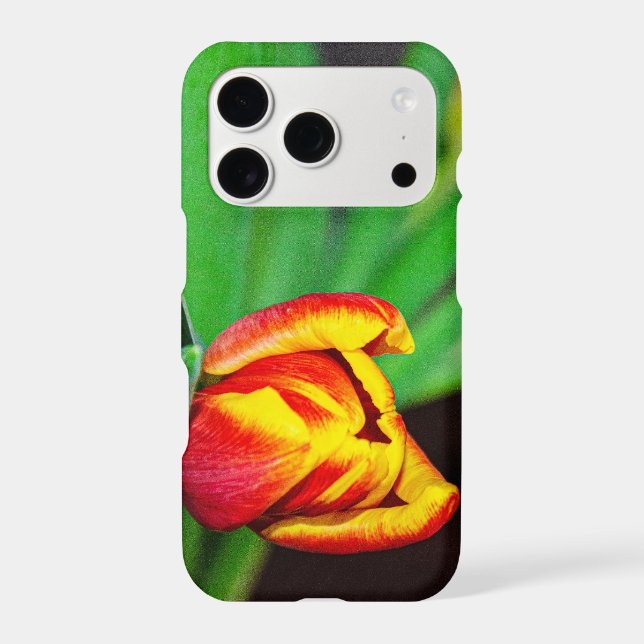 Red Orange Tulips iPhone Case  (Verso)