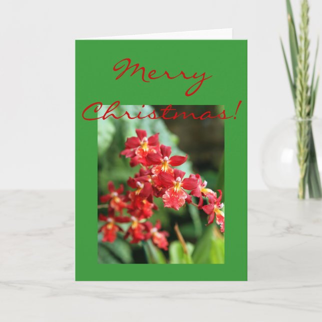 Red Orchids Holiday Card (Front)