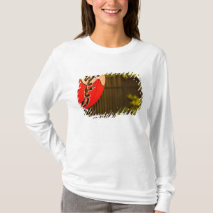 Red painted paper lantern and tree, Kyoto, T-Shirt