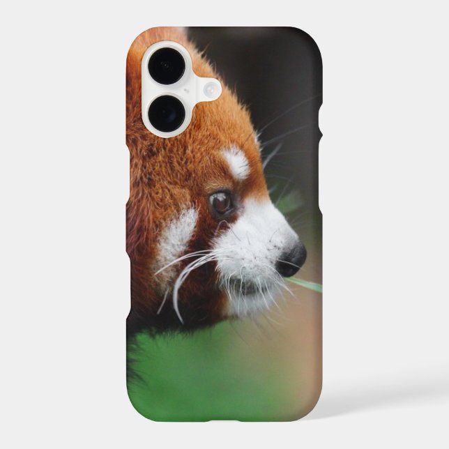 Red panda (Back)