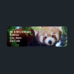 Red Panda<br><div class="desc">Reproduced from an original digital photo of a cute red panda.</div>