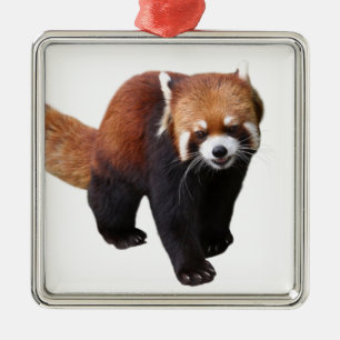 “Red Panda”の優良製品 Metal Ornament