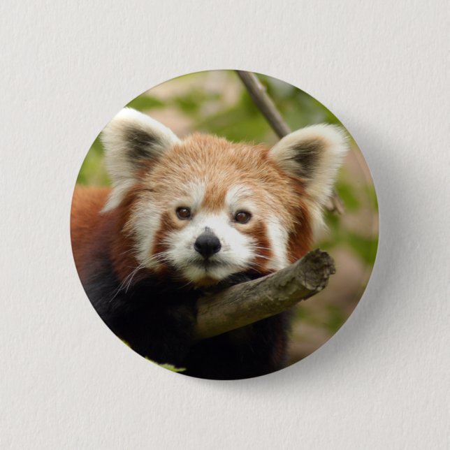 red-panda-007 2 inch round button (Front)