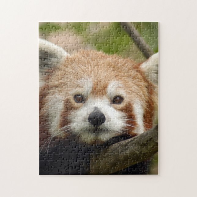 red-panda-010 jigsaw puzzle (Vertical)