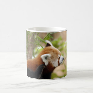 red-panda-035 magic mug