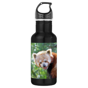Red_Panda_2015_0306 532 Ml Water Bottle