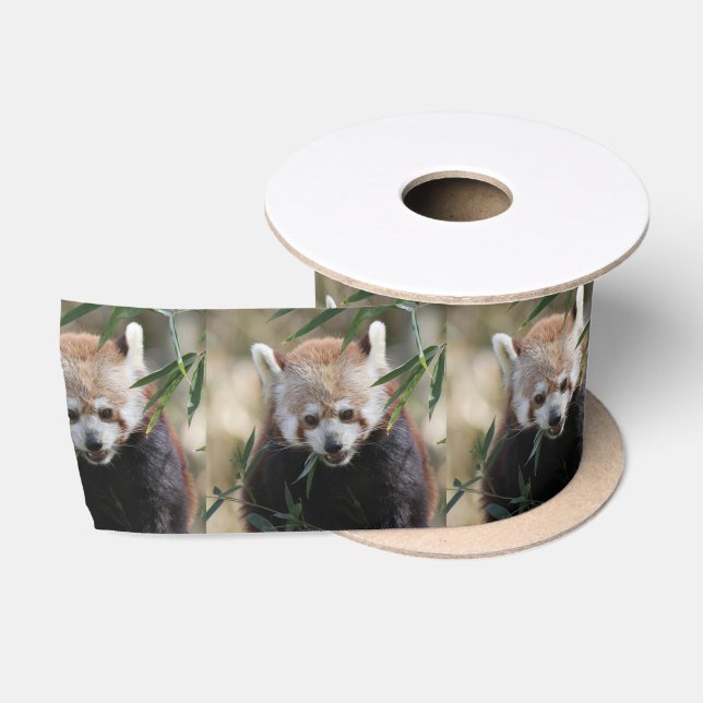 Red_Panda_2015_0311 Satin Ribbon (Spool)