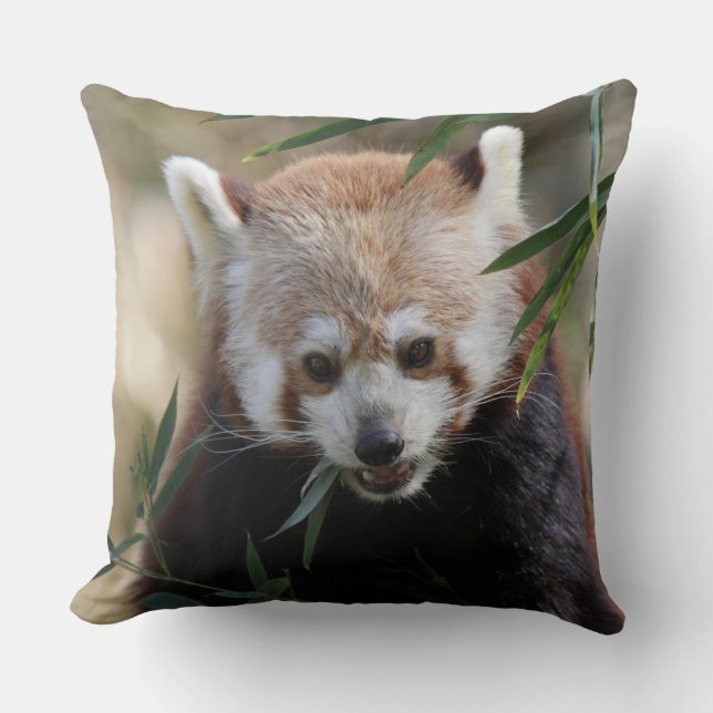 Red_Panda_2015_0311 Throw Pillow (Front)