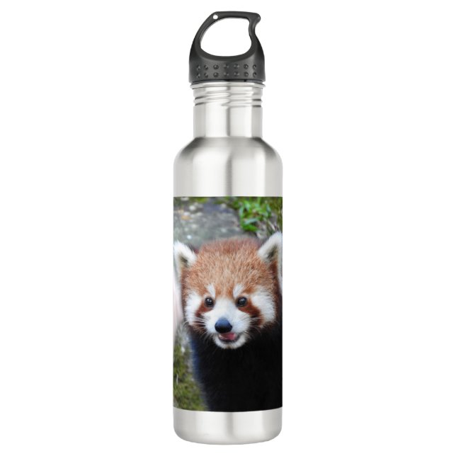 Red Panda 710 Ml Water Bottle (Front)