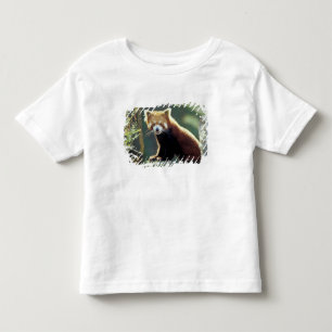 Red Panda Ailurus fulgens) Toddler T-shirt
