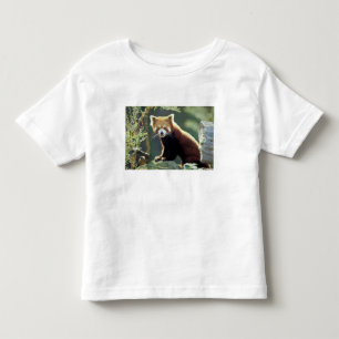 Red Panda Ailurus fulgens) Toddler T-shirt
