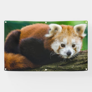 RED PANDA Banner WITH GROMMETS