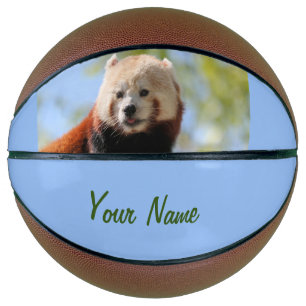 Red Panda Basketball