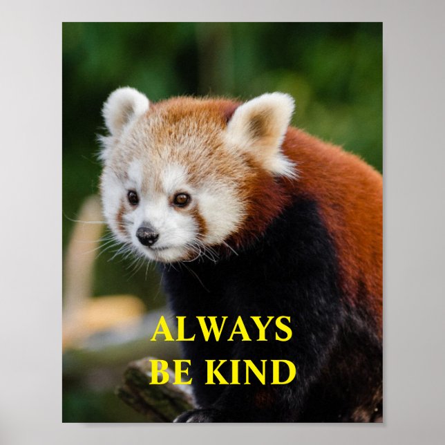 Red Panda Be Kind Inspirational Quote Custom Poster (Front)