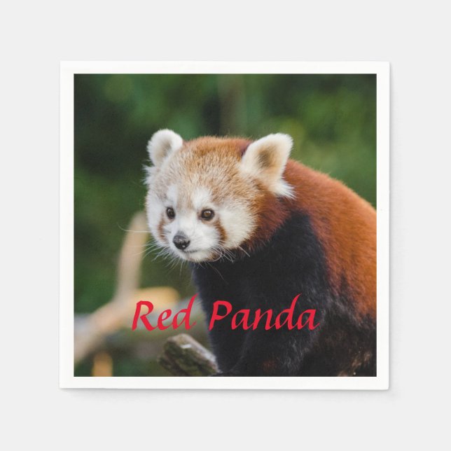 Red Panda Bear Napkin (Front)