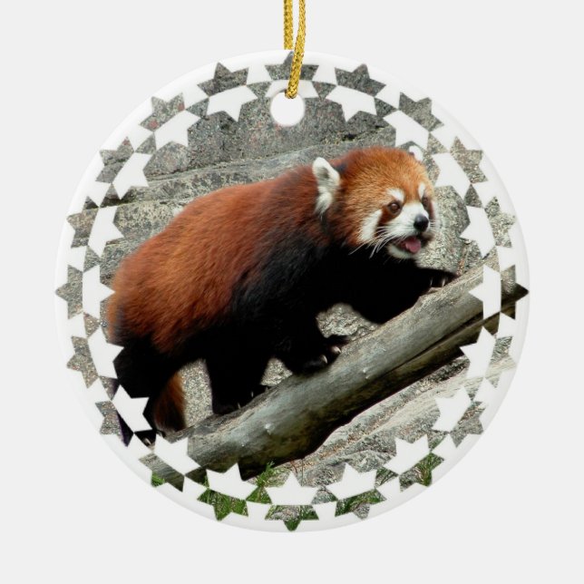 Red Panda Bear Ornament (Front)