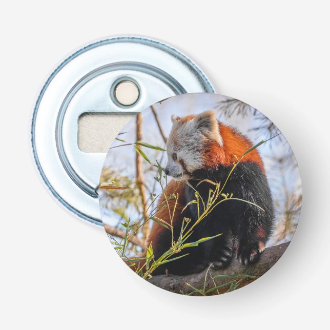 Red panda bottle opener (Front)