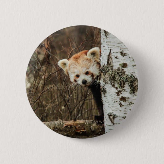 Red Panda Button Badge (Front)