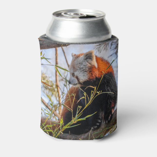 Red panda can cooler (Can Back)