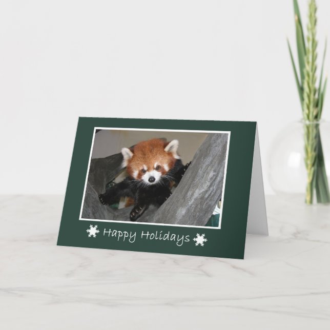 Red Panda Card (Front)