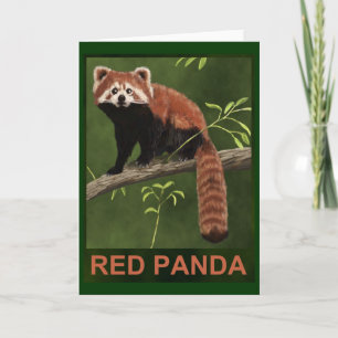 Red Panda Card