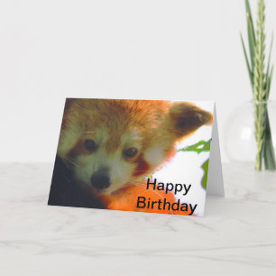 red panda card