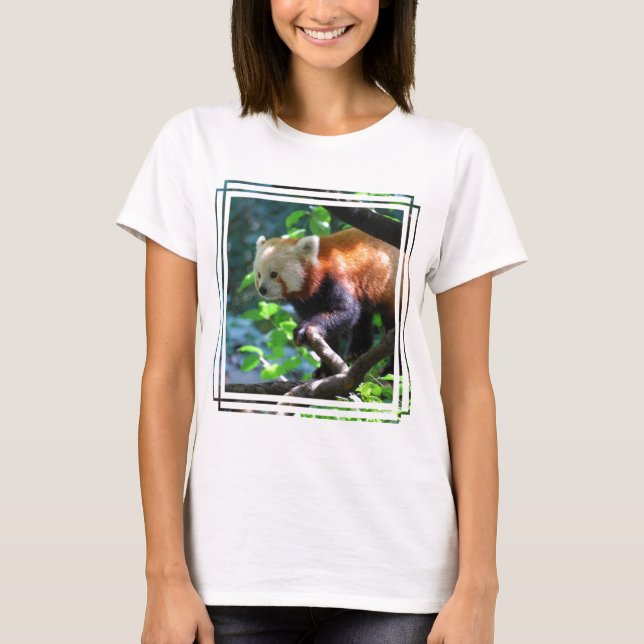 Red Panda Climbing T-Shirt (Front)