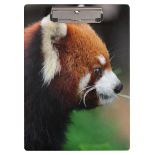 Red panda clipboard