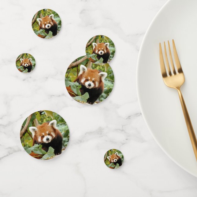 Red Panda Confetti (Group)