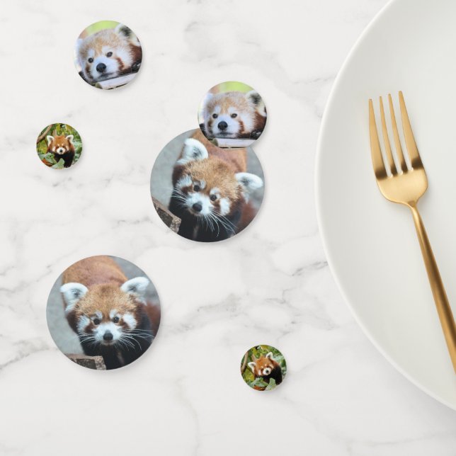 Red Panda Confetti (Group)