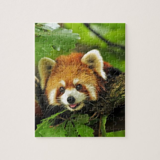 Red Panda Cub Jigsaw Puzzle (Vertical)