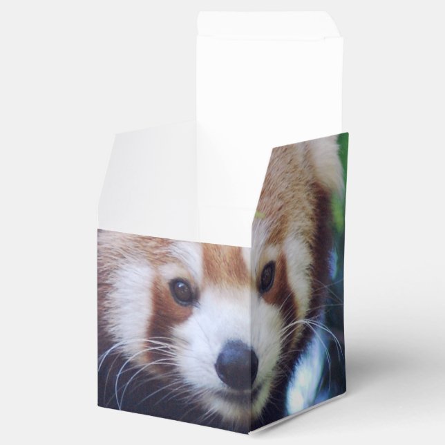 Red Panda Favor Box (Opened)