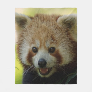 Red Panda Fleece Blanket