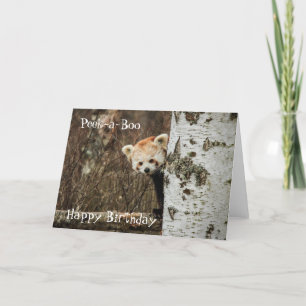 Red Panda Happy Birthday Card