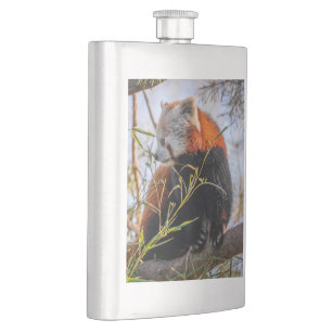 Red panda hip flask