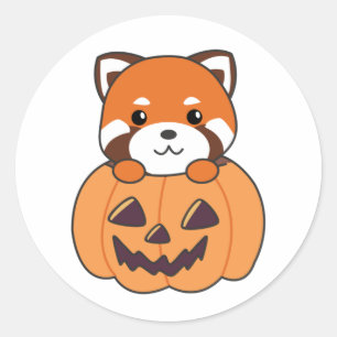 Red Panda In Pumpkin Cute Pandas Happy Halloween C Classic Round Sticker