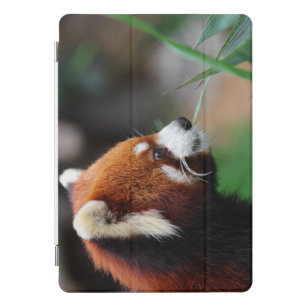 Red panda iPad pro cover