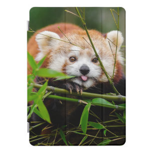 Red Panda iPad Pro Cover