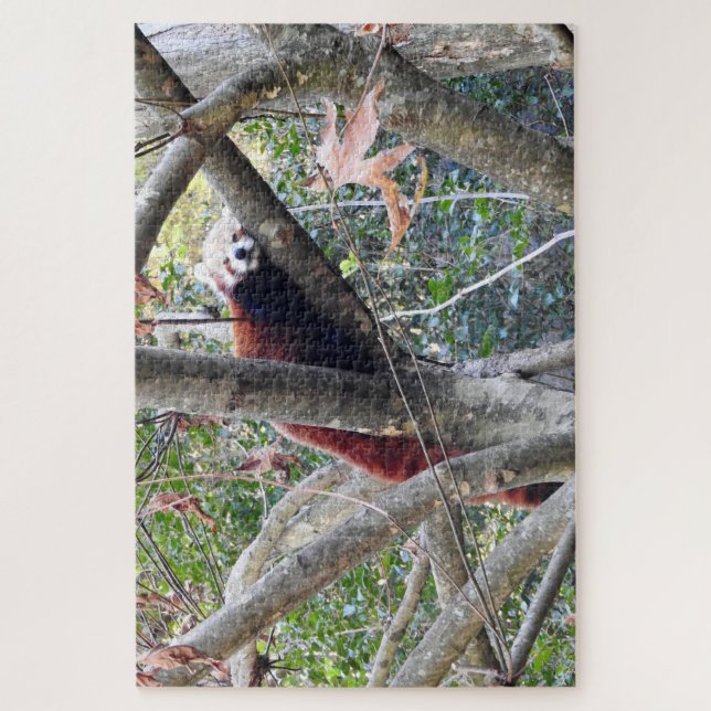 Red Panda Jigsaw Puzzle (Vertical)
