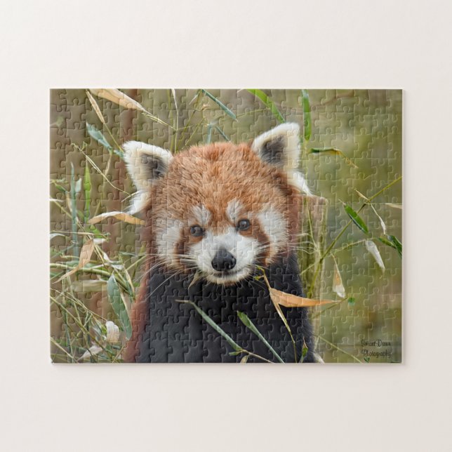 Red Panda  Jigsaw Puzzle (Horizontal)
